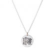 Immagine di MEDAGLIA 22 CM CON COLLANA ROLÒ